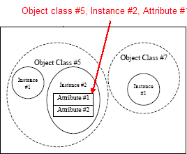 _enic_img_attribute_id